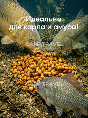 Зерновая смесь Carptravel  вакуум 1 кг (Тигровый Орех) 6