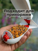Зерновая смесь Carptravel  вакуум 1 кг (Фидер) 2